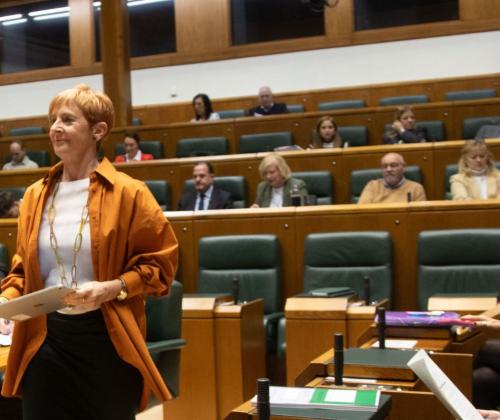 El 82% del Parlamento Vasco respalda la Ley de Transición Energética y Cambio Climático y Tapia subraya su importancia instrumental para el futuro de Euskadi