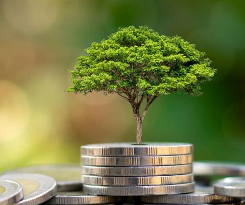 El Gobierno Vasco impulsa la protección del medio ambiente a través de nuevas subvenciones para el tejido empresarial